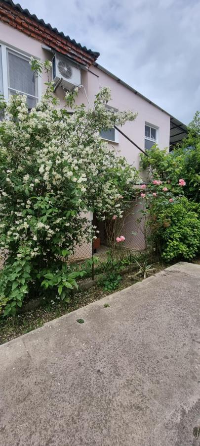 Guest House Mushmula New Athos Екстериор снимка